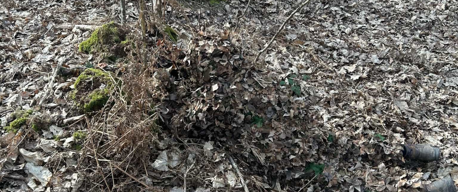 L'expertise de camouflage de la DTG