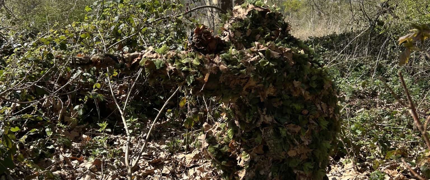 L'expertise de camouflage de la DTG