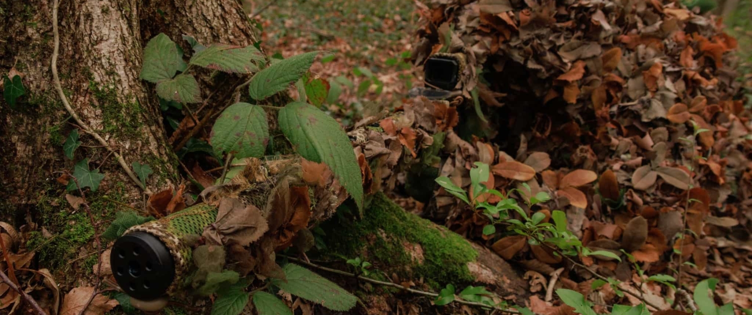 L'expertise de camouflage de la DTG