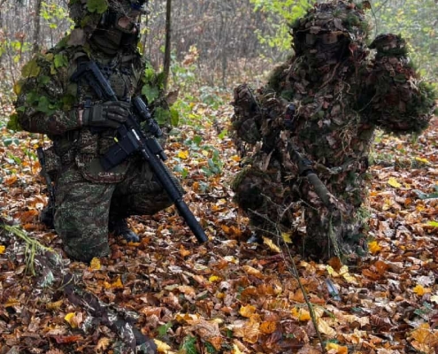 Forêt Terrain Domain (Wild Trigger Fontenailles)