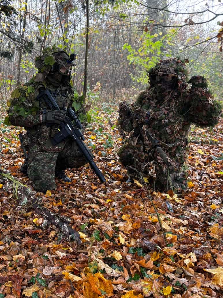 Forêt Terrain Domain (Wild Trigger Fontenailles)