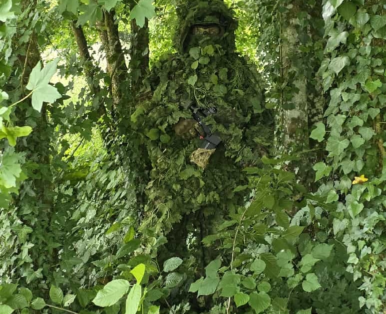 L'expertise de camouflage de la DTG