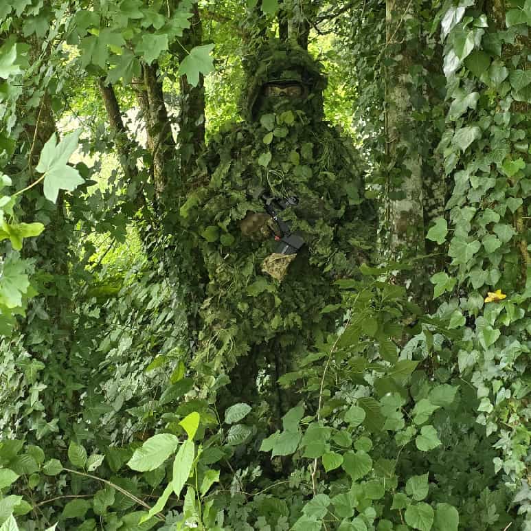 L'expertise de camouflage de la DTG L'expertise de camouflage de la DTG