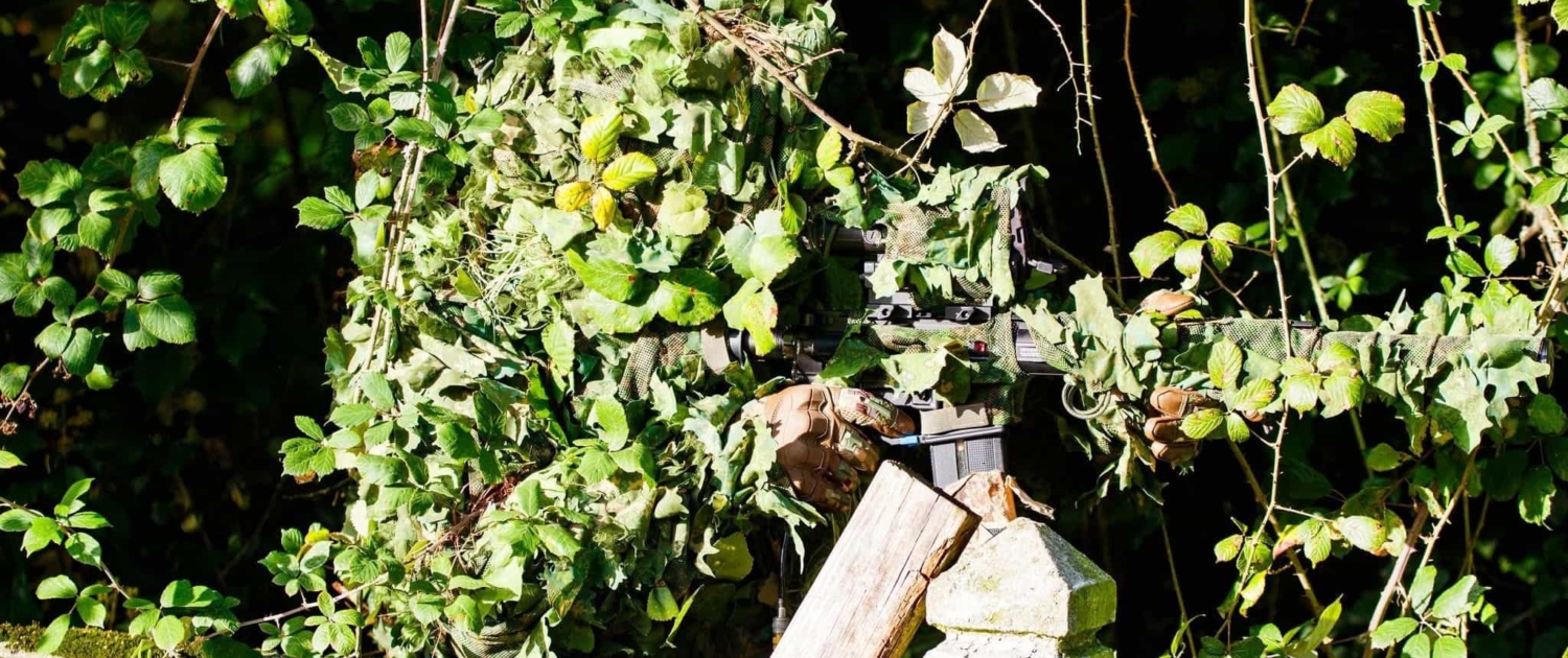 L'expertise de camouflage de la DTG