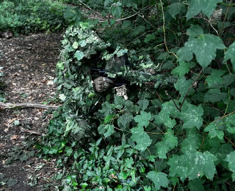 L'expertise de camouflage de la DTG