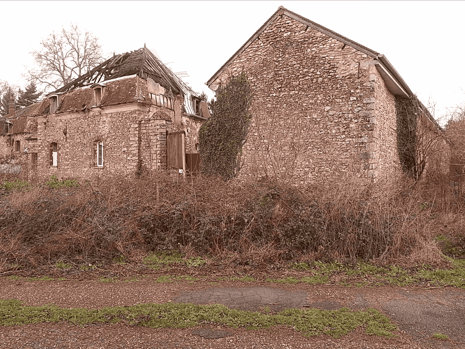 Terrain Delta Zone (Umbrella A.A.D.)