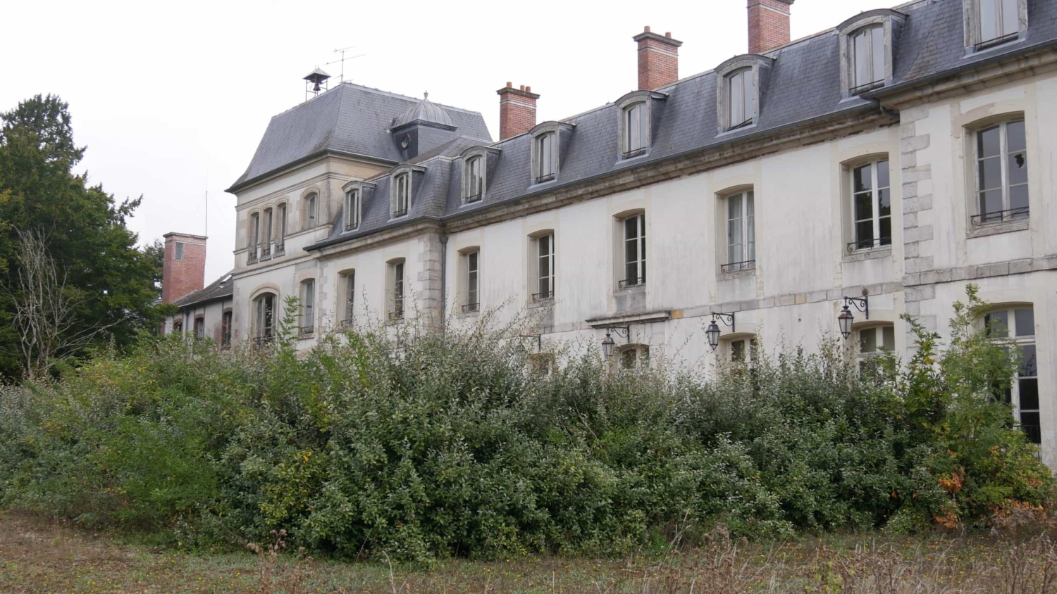 Terrain Domain(Wild Trigger Fontenailles)