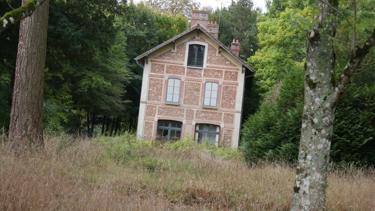 Terrain Domain(Wild Trigger Fontenailles)