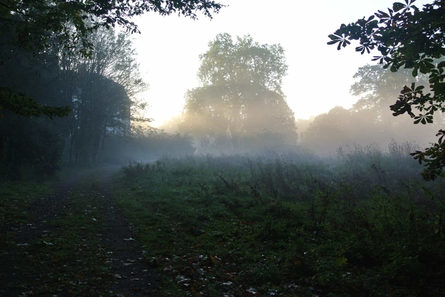 Terrain Domain(Wild Trigger Fontenailles)