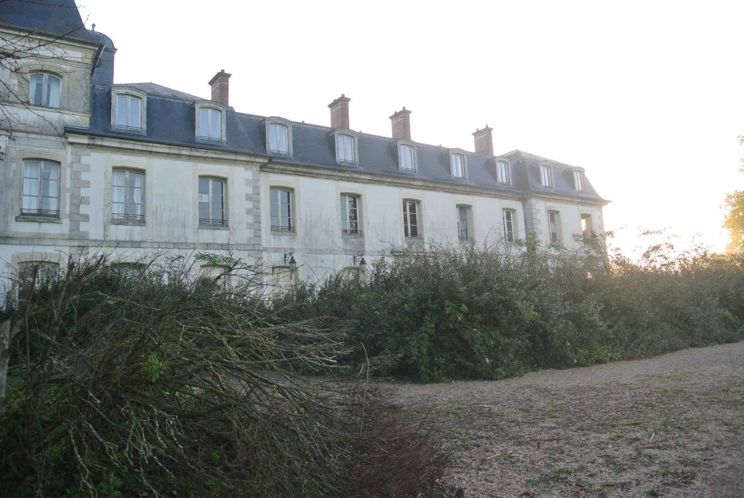 Terrain Domain(Wild Trigger Fontenailles)