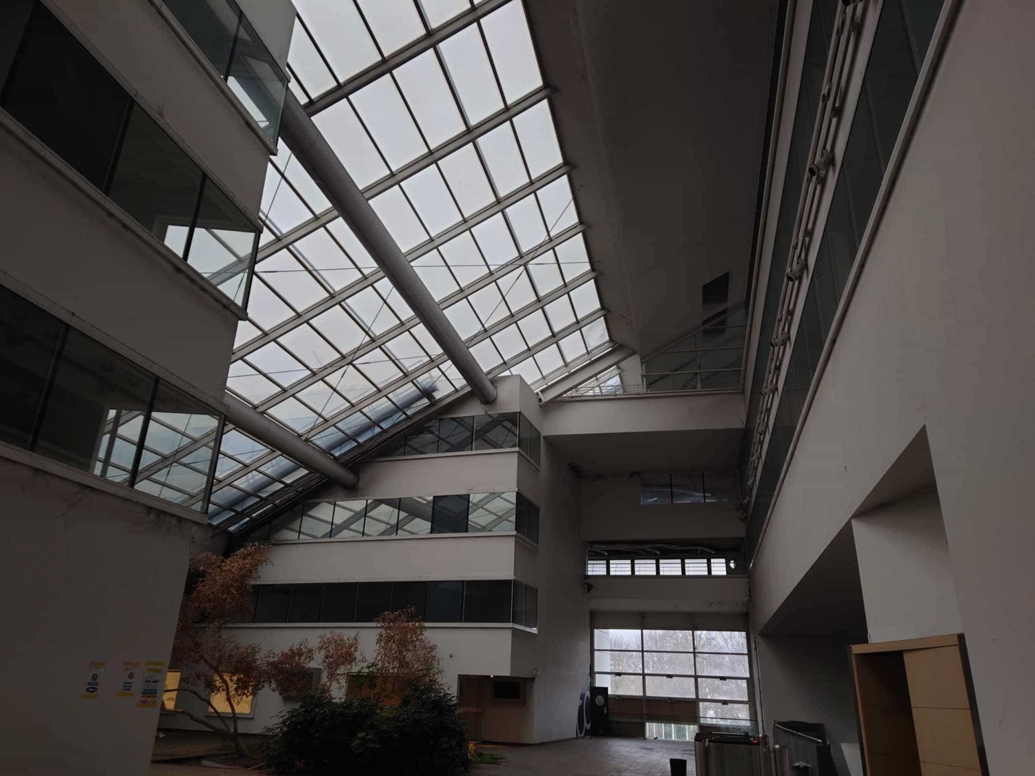 Patio Terrain New Agency (Wild Trigger Nanterre)