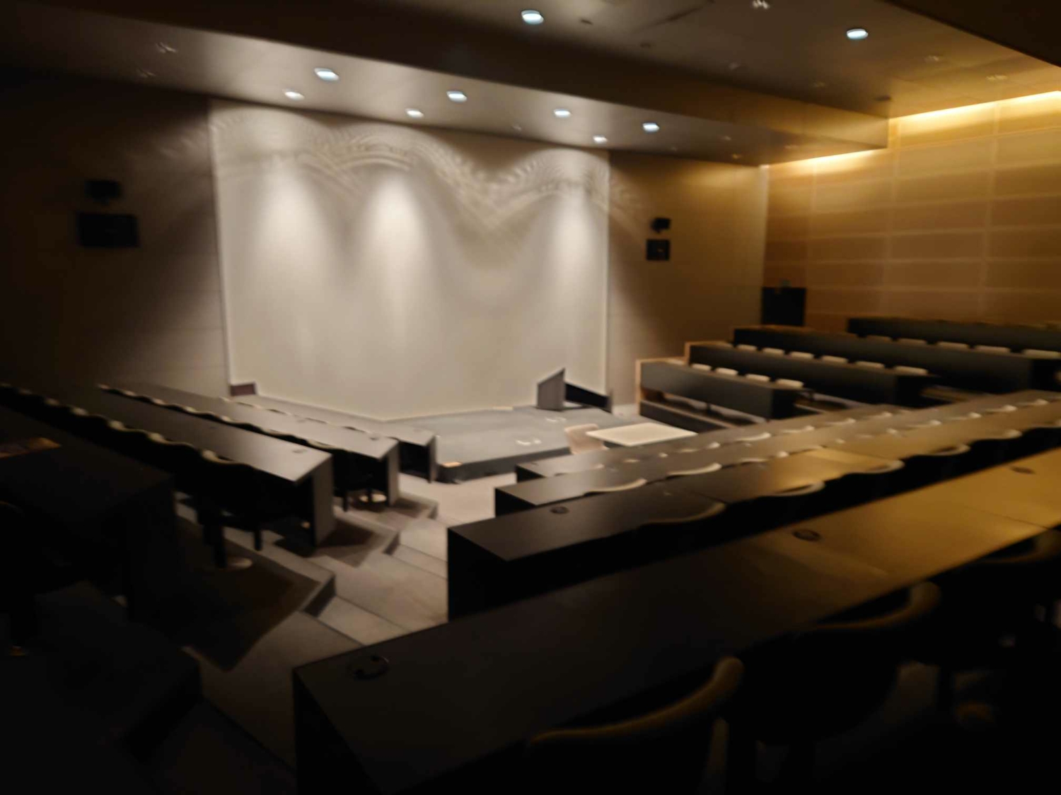 Amphithéâtre Terrain New Agency (Wild Trigger Nanterre)