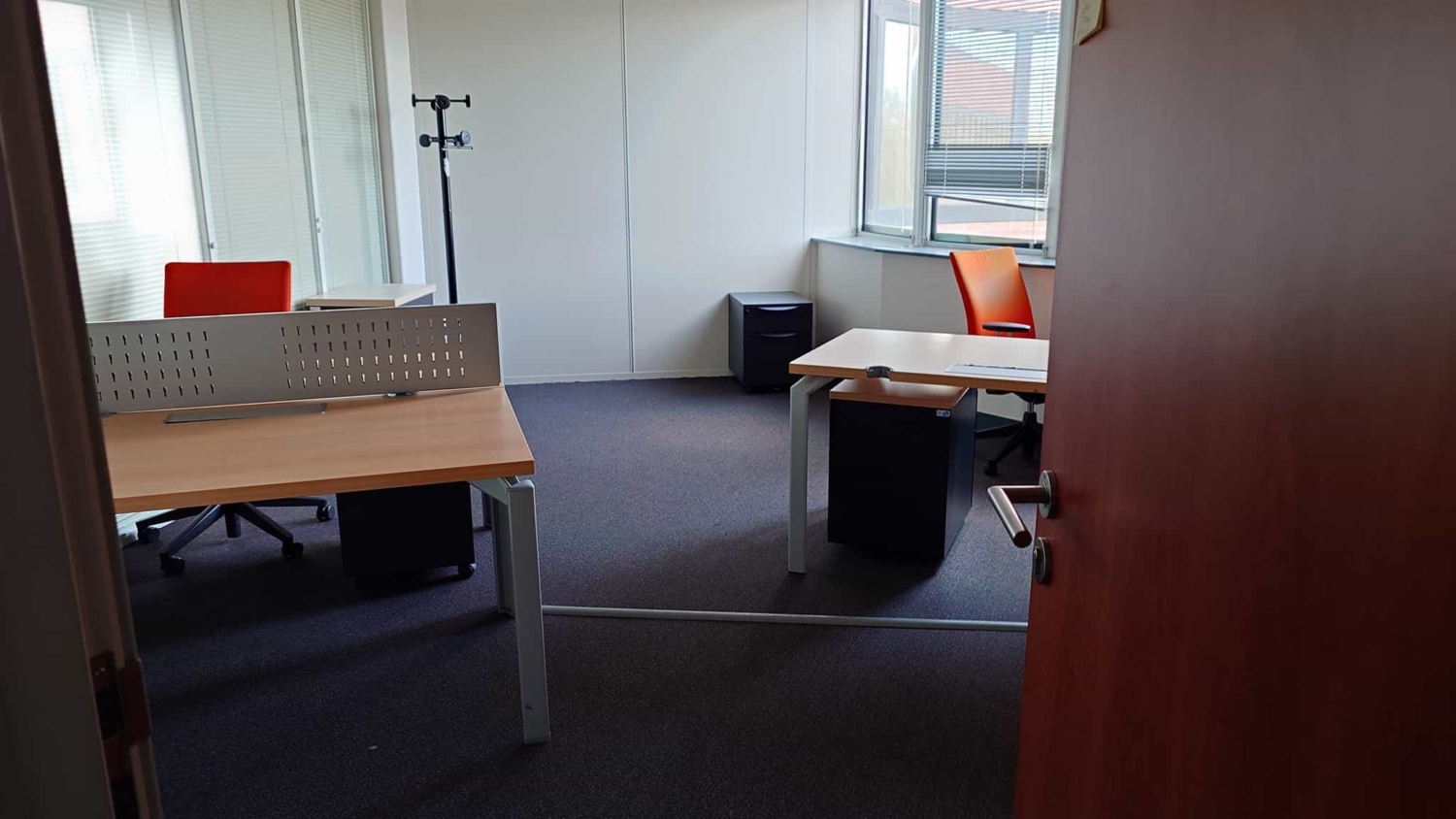 Bureaux Terrain New Office (Wild Trigger)