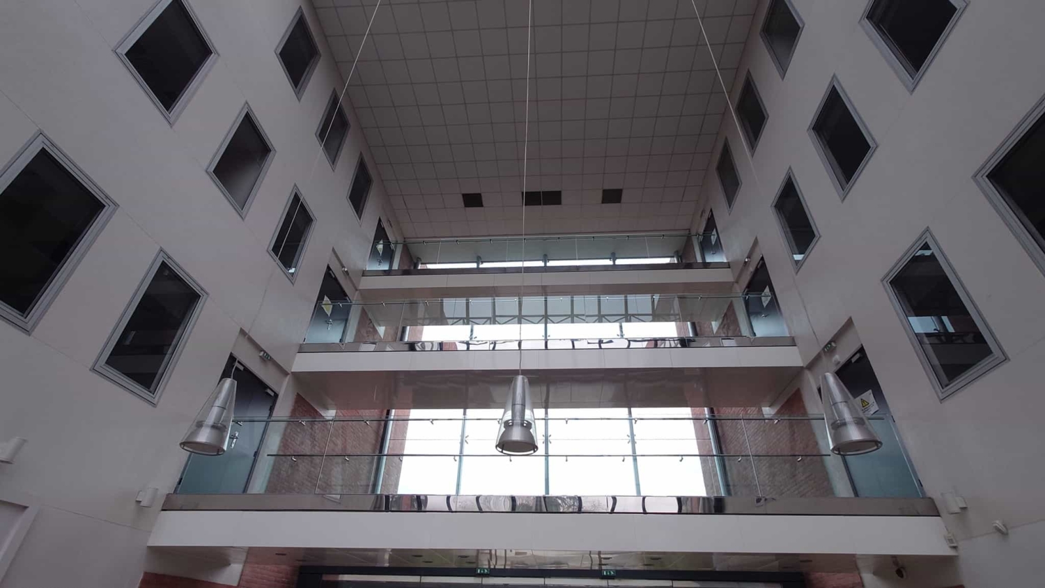 Hall Terrain New Office (Wild Trigger)