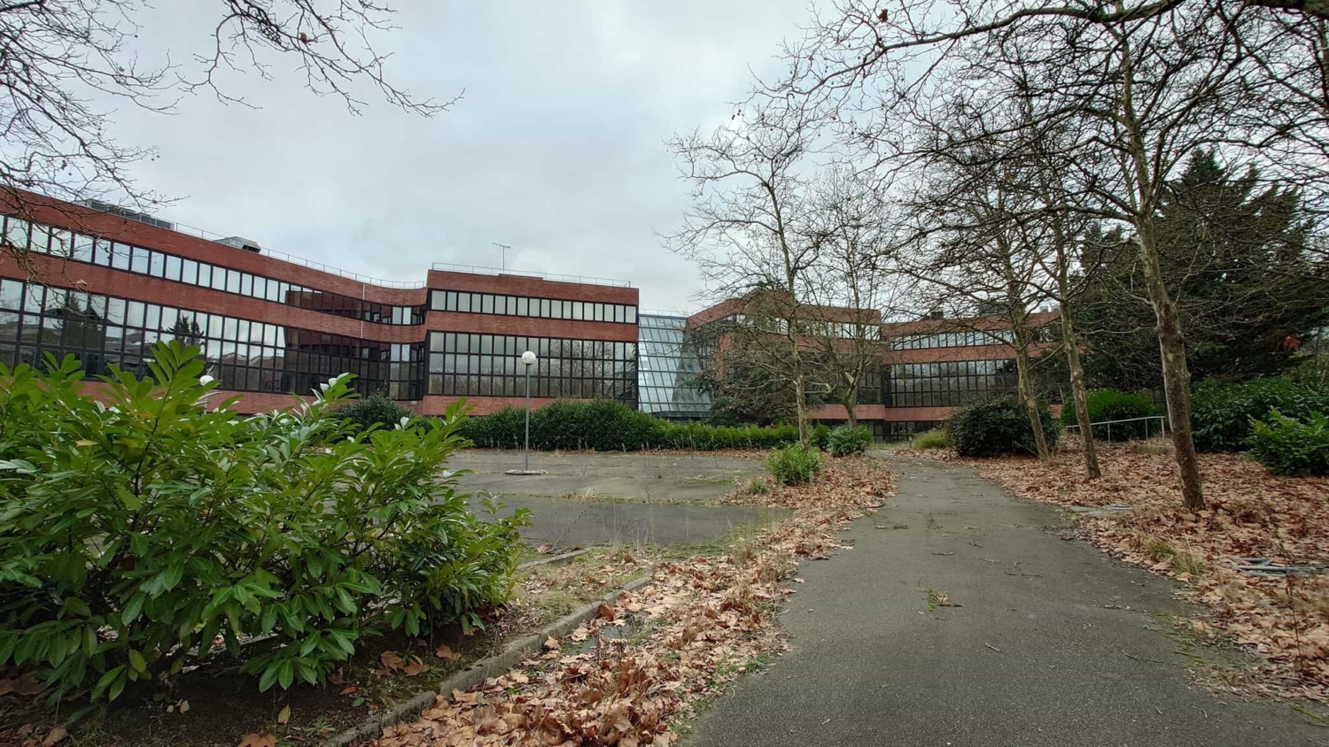 Vue extérieur Terrain New Office (Wild Trigger)