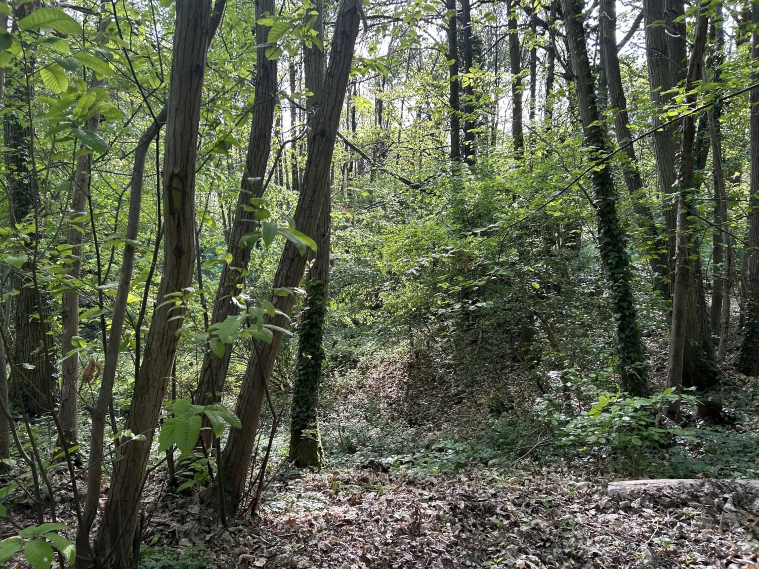 Terrain Atomik Airsoft