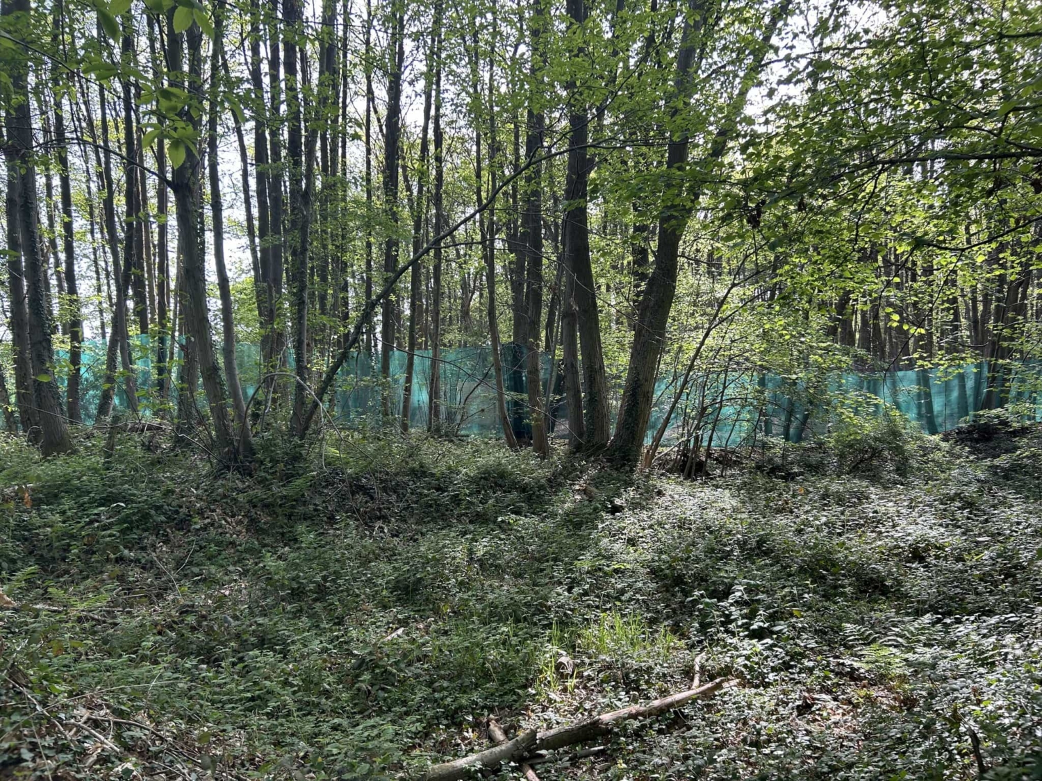 Terrain Atomik Airsoft